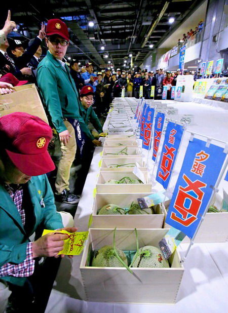 日本夕张蜜瓜上市 2个拍出250万日元(组图)