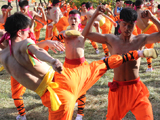 2012中原文化之路-中国郑州国际少林武术节