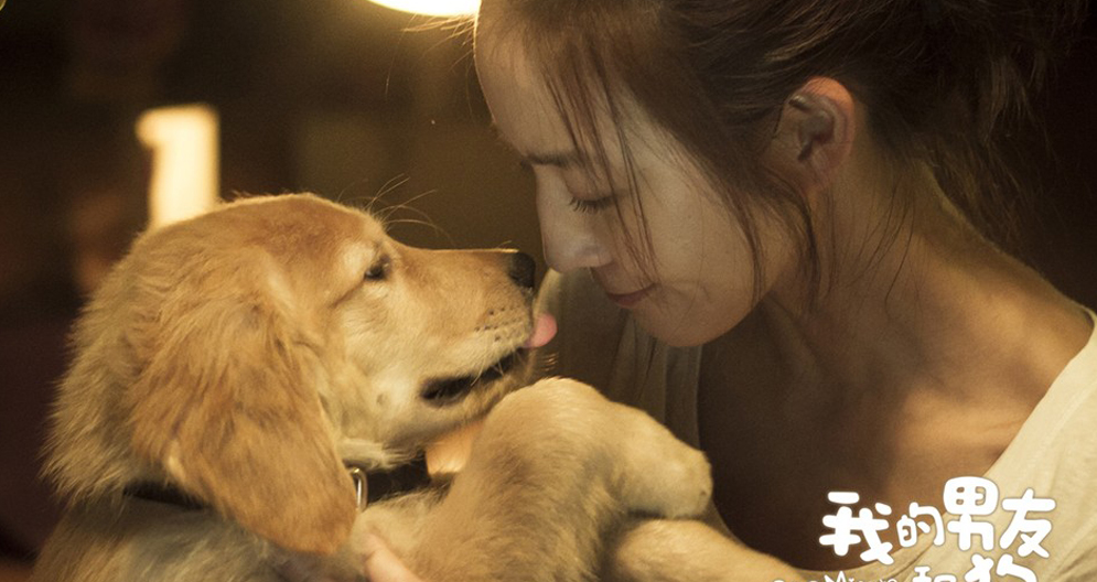 巨透第七十七期:我的男友和狗凤凰网河北频道