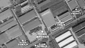 卫星地图显示,四川金强训练基地被工厂环绕图片
