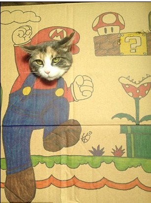 猫版马里奥_猫版马里奥2_猫里奥3 _淘宝学堂