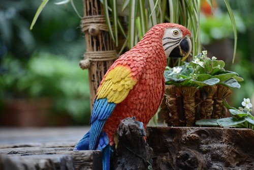 焦距:400mm　 光圈:f/5.6　 ISO感光度:800　