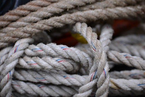 焦距:400mm　 光圈:f/5.6　 ISO感光度:400　