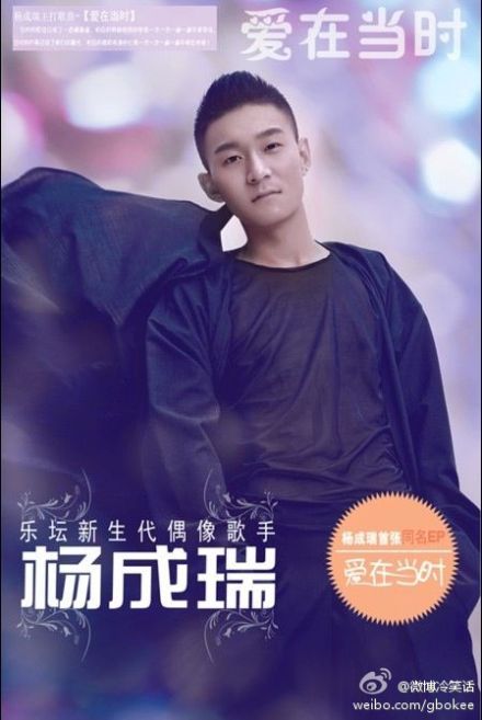 杨成瑞个人作品