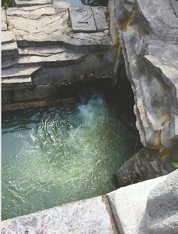 倒灌趵突泉市政部门:排污口设置属历史遗留 "趵突泉,护城河是咱济南的