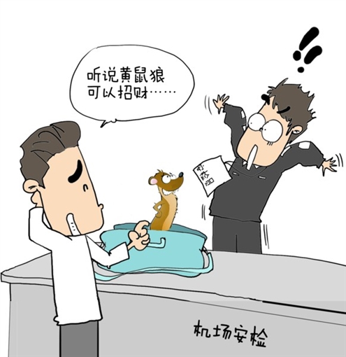 近日被拦截下来的违禁品中频现"奇葩",黄鼠狼,蚂蚁,蛇等活体动物,都被