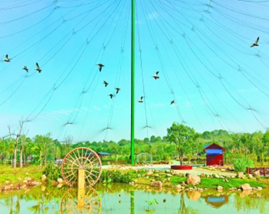 武汉鸟语林年内开业总面积居全国鸟类公园之首