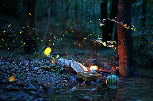 浪漫萤火缤纷夏夜/夏夜流萤话七夕