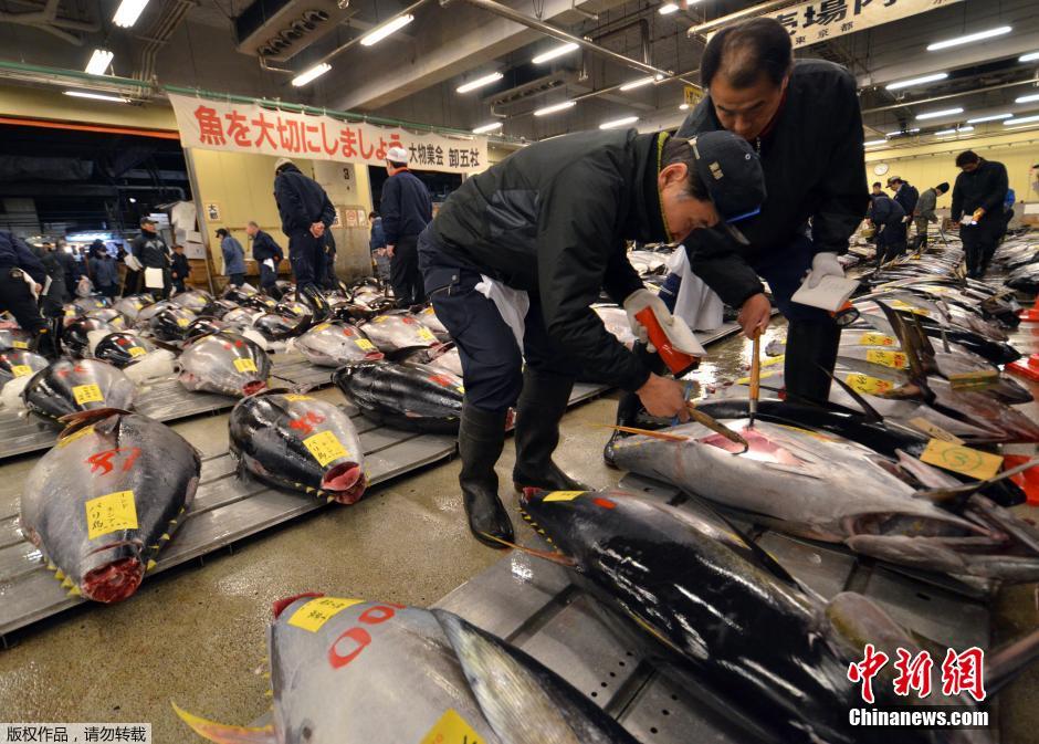 日本水产市场新年开市 巨型金枪鱼卖近4万美元