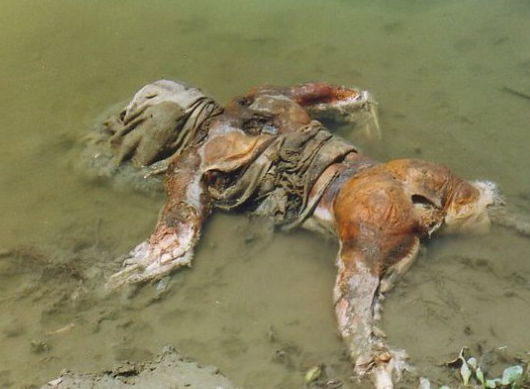 抚仙湖湖底浮尸照片图片