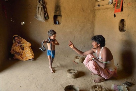 一位拉巴里牧人赶着牲口寻找过夜的地方,他看上去很满足.