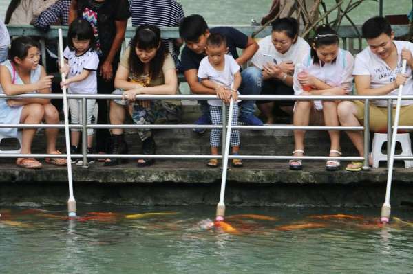 合肥逍遙津公園奶瓶餵魚遊客感嘆城會玩