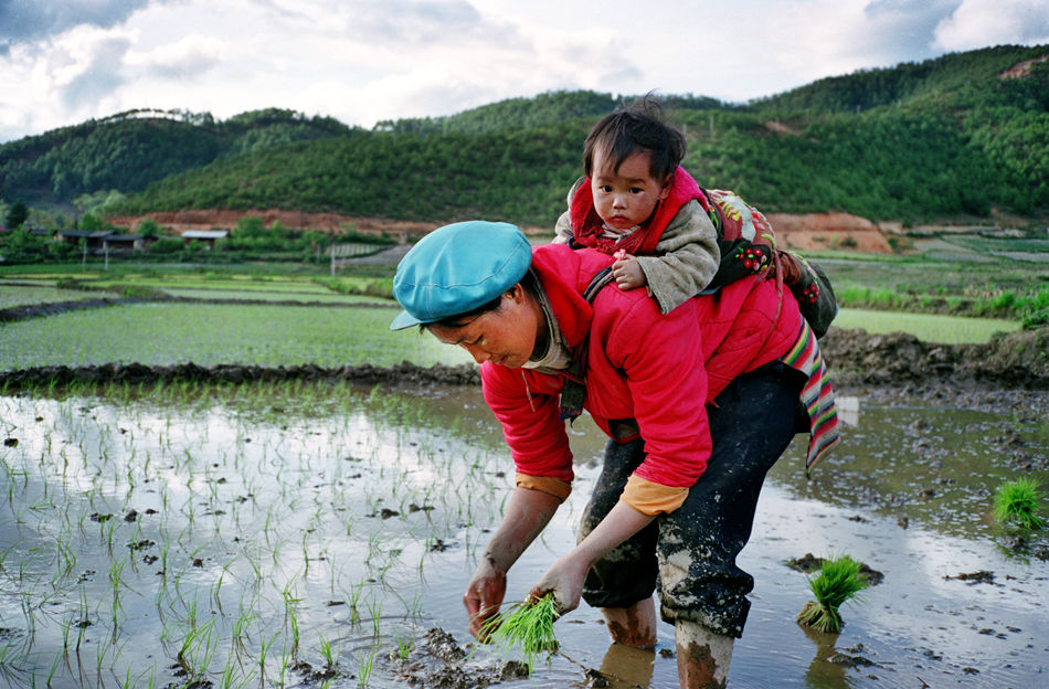 【转载】云南新平县,维西县,景洪县,红河县等农家生活照