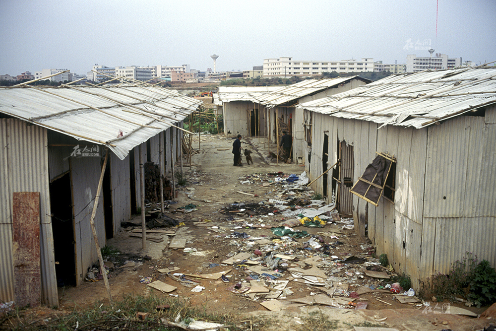 杨林贵在东莞汽车南站附近发现一片废弃的石棉瓦房,一共20多间,他很