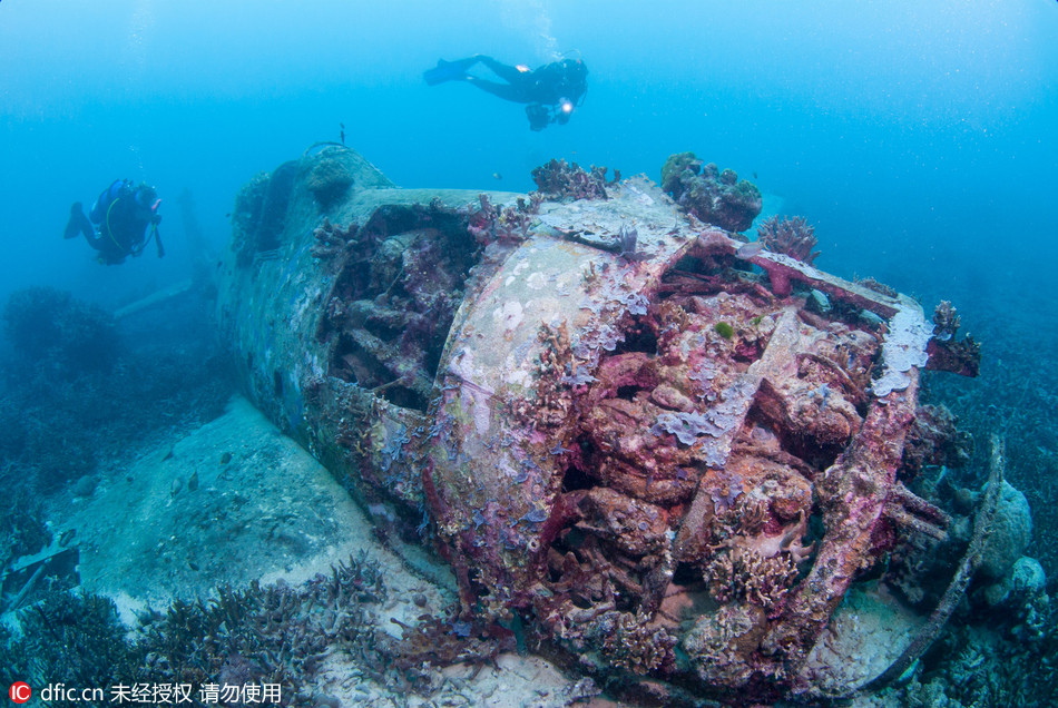 部分战机上仍然保有飞行员的遗骸.