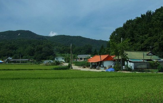 實拍韓國山谷中的農村房子 與韓劇反差太大(圖)