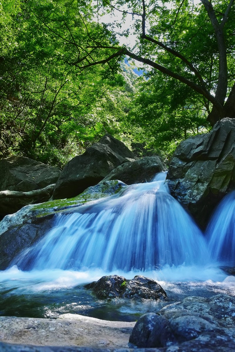 五龙潭风景区