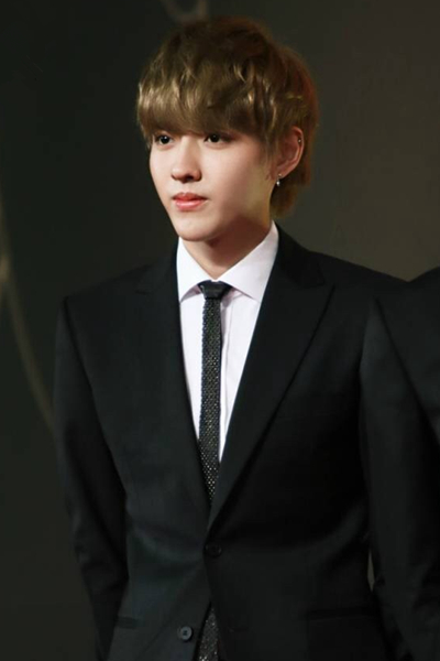 2013mama颁奖礼香港落幕吴亦凡显语言优势获赞