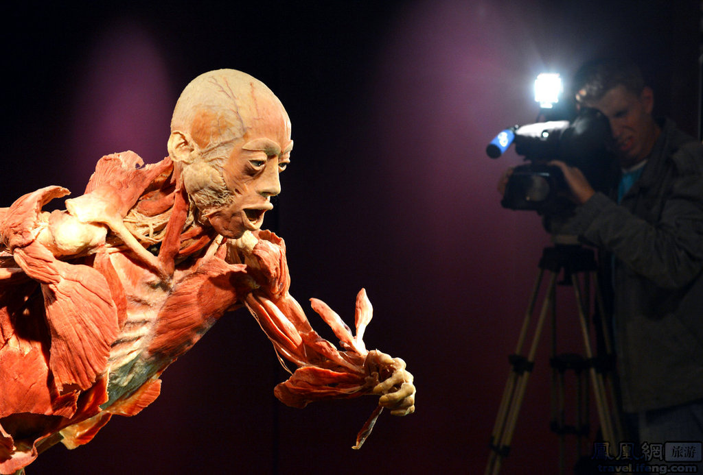 基辅举办人体标本展尸体大秀体育项目