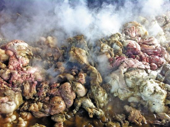 腐臭的反义词是什么呢