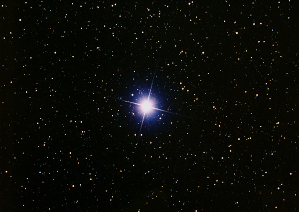 牵牛星(网页截图)