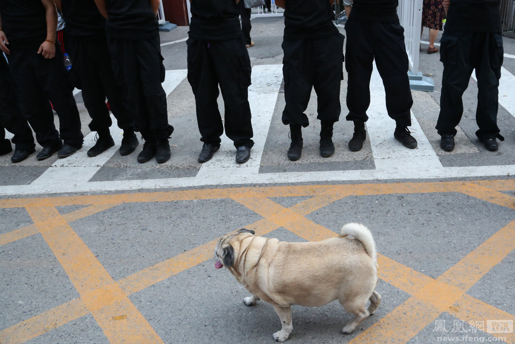 為了維護秩序,防止出現擁擠局面,早上6時,保安就在徵收現場外搭起人牆