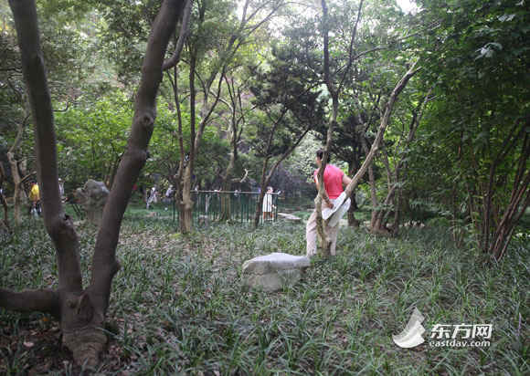 圖為公園內個別晨練者有踩踏破壞綠化等不文明現象.