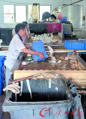 一天能洗近3萬套碗碟洗碗廠又吵又臭煩死人