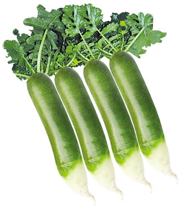 鲜嫩美心清如水,霜降长成玉亭亭.伏里小苗绿青青,拔了萝卜留下坑.