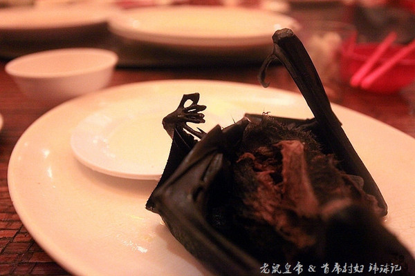 毛茸茸的蝙蝠是帕劳人的美食帕劳连载五