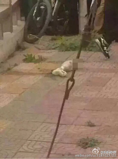 开封包公湖西湖南岸打捞出女性碎尸警方悬赏2万追凶