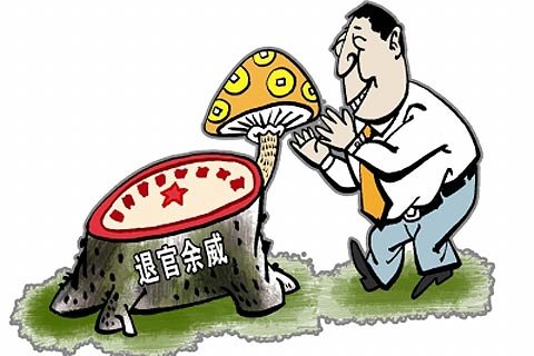 22名退休官员独董 顶风"退而不休?