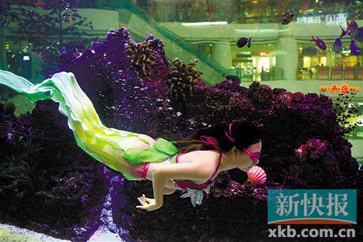 美人鱼出没cbd,美美哒.