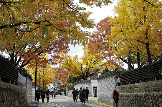 首尔三清洞一路铺满金灿灿的银杏叶 韩国旅游发展局供图