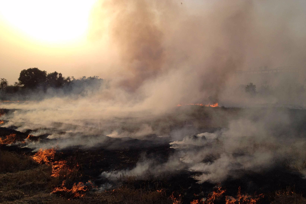秸秆焚烧致中国入秋大面积重霾