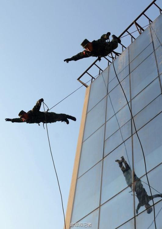 特战武警变身蜘蛛侠攀绳惊险飞下楼