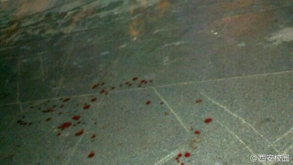 西安文理学院一学生揭穿小偷被捅3刀血洒满地组图