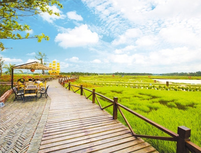 13          版)董 欣 谢文相——海南省琼海市新型城镇化