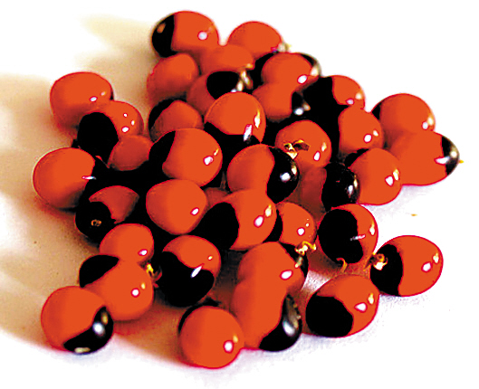 剧毒鸡母珠网上当手链卖