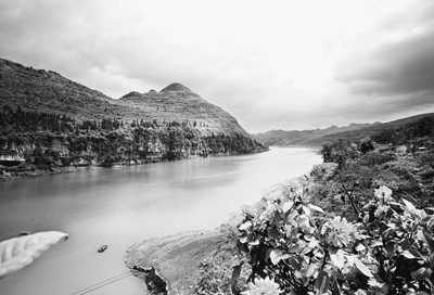 经过多年有效治理,清水江流域水质呈现逐渐好转态势.