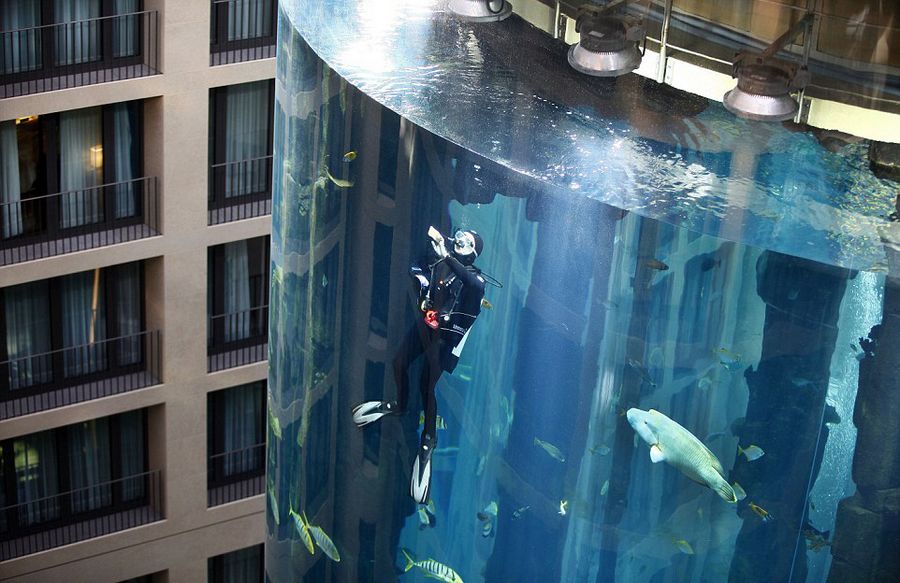 德酒店打造25米高内嵌电梯水族箱