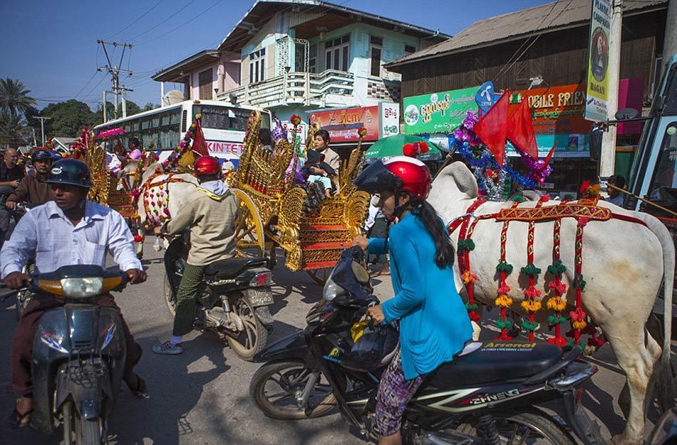 缅甸奇特风俗男孩出家前盛装扮王子骑牛马游行