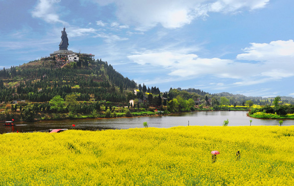 去陈抟故里崇龛花海景区畅游中国最美油菜花海