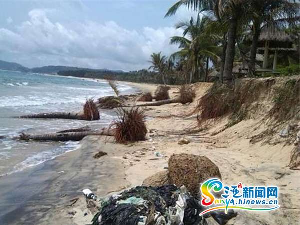 陵水香水湾遭"毁容"污染严重 业主发帖谴责开发商