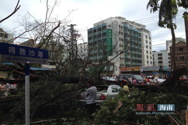 台风"威马逊"过后,海口得胜沙路树木大多被摧毁.