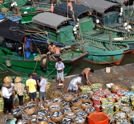 琼海潭门港(图片来源于网络)