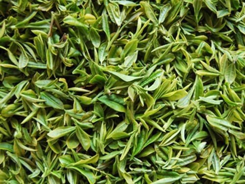 安徽茶叶的种类图片
