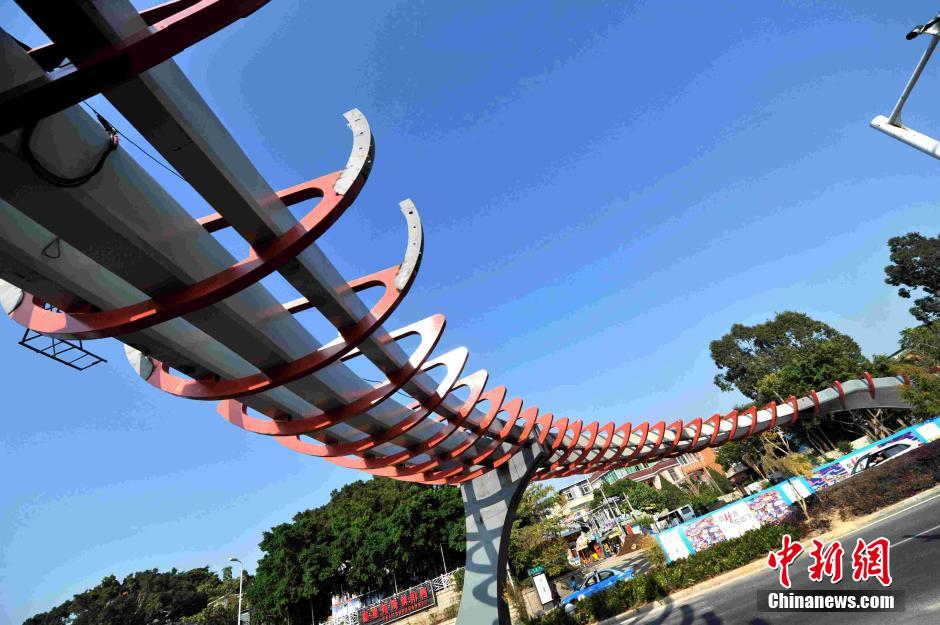 厦门天桥鱼感十足