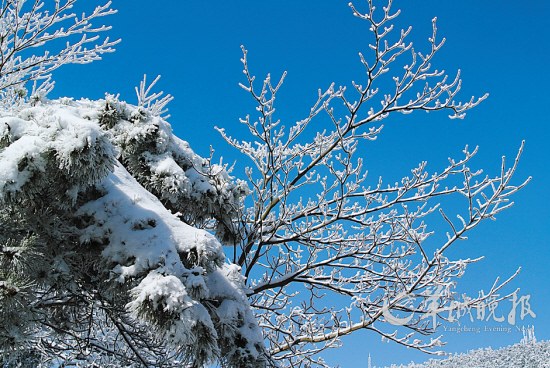 在當地人的幫助下安裝了雪鏈行車示意圖 製圖/舒米駕車行駛在新開不