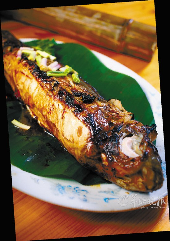 竹筒烤鲩鱼  terry摄